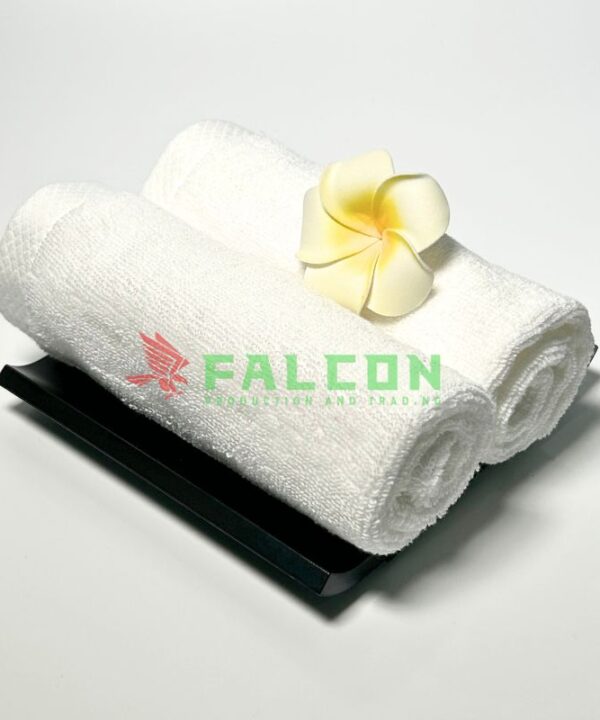 Khay Đựng Khăn Tay Falcon