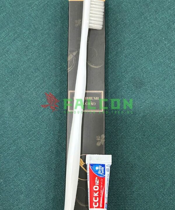 Bàn Chải Trắng Hộp Giấy