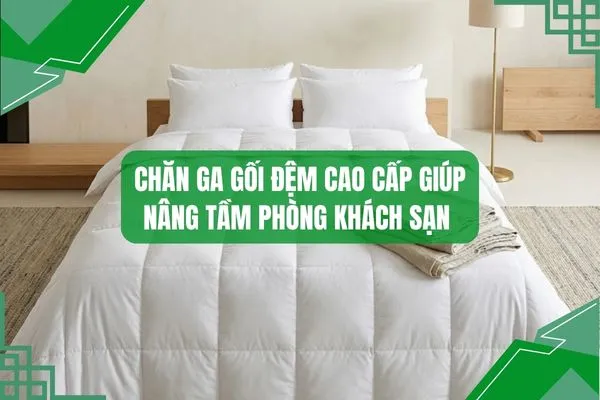 Chăn ga gối đệm cao cấp