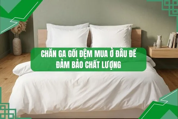 Chăn gối đệm mua ở đâu để đảm bảo uy tín