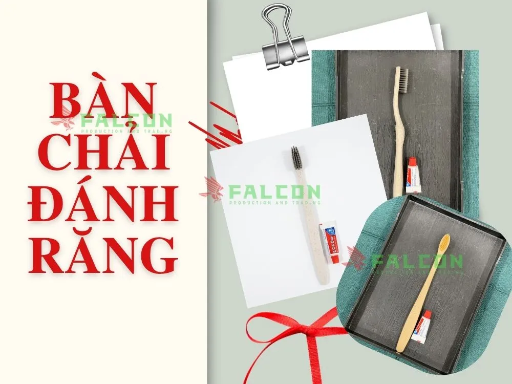Bàn chải dồ dùng tiêu hao bảo vệ môi trường