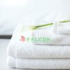 Khăn tay Falcon