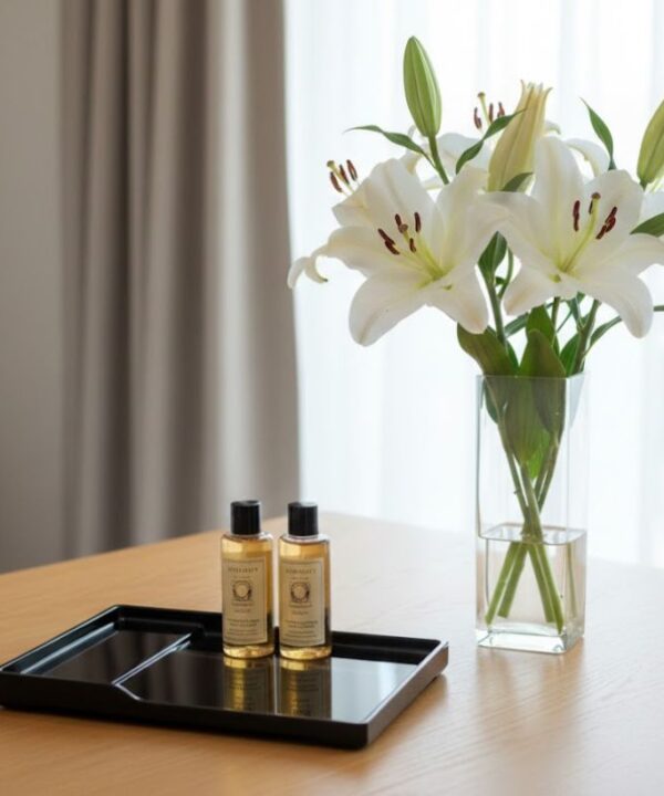 Khay amenities khách sạn 2 tầng tiện lợi