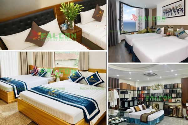 Sản phẩm của Falcon hiện đang cung cấp