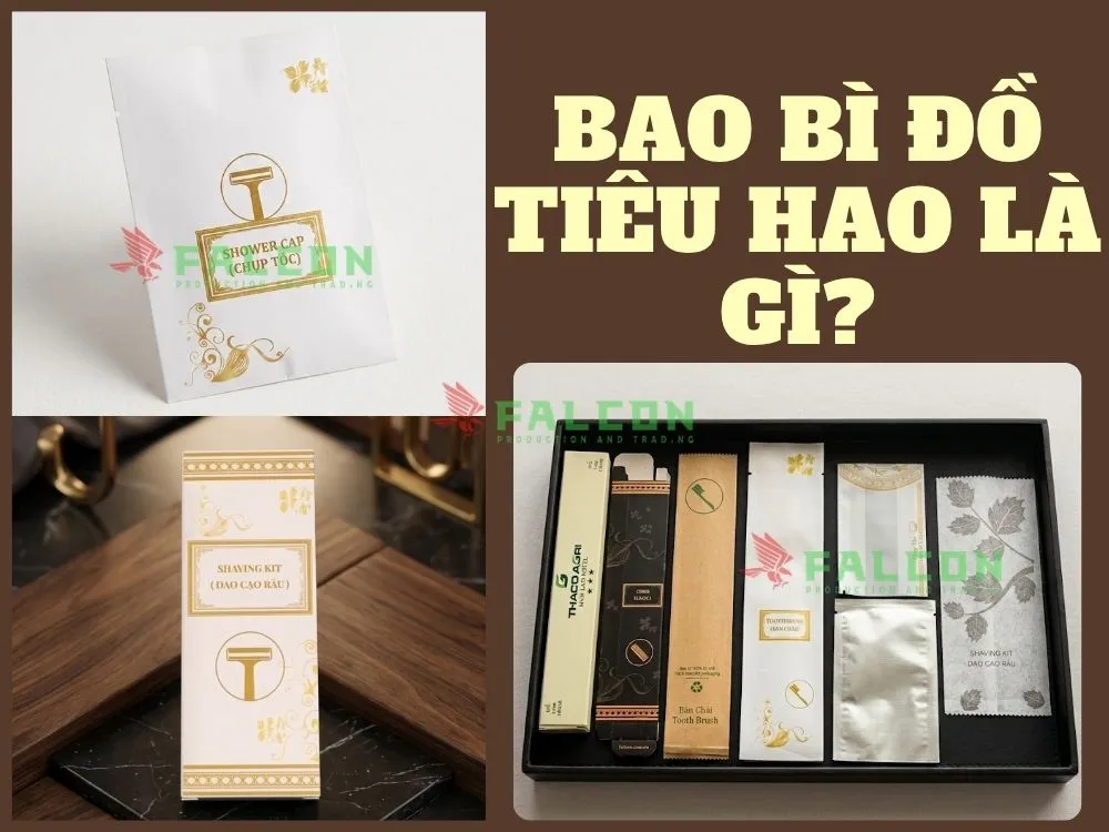 So sánh bao bì túi giấy và hộp giấy