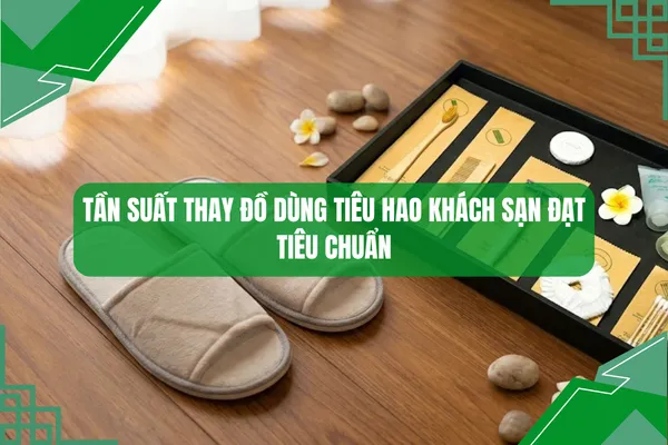 Tân suất thay đồ dùng tiêu hao khách sạn
