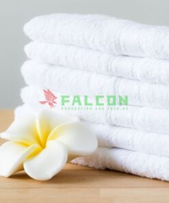 Thảm Lau Chân Falcon