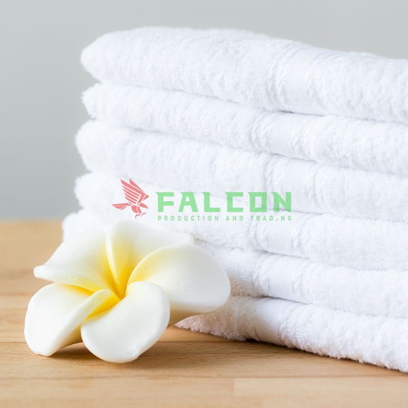 Thảm Lau Chân Falcon