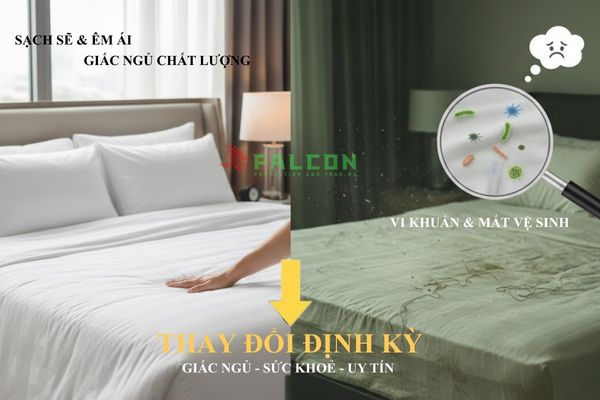 Thay đổi định kỳ đảm bảo sức khoẻ cho khách lưu trú