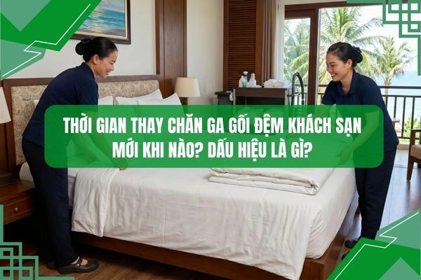 Giới thiệu thời gian thay chăn ga gối đệm