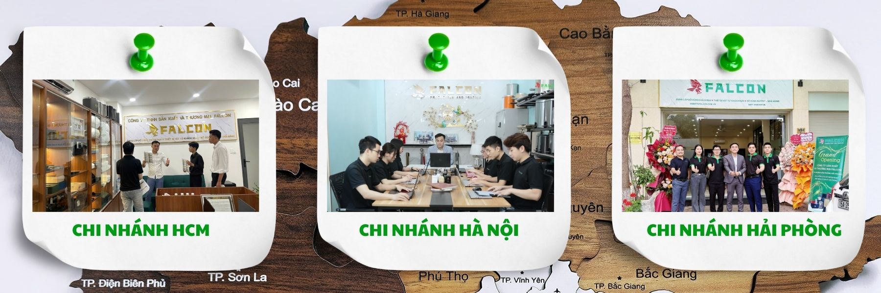 Trang Chủ Các Chi Nhánh Falcon