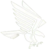 Falcon Logo